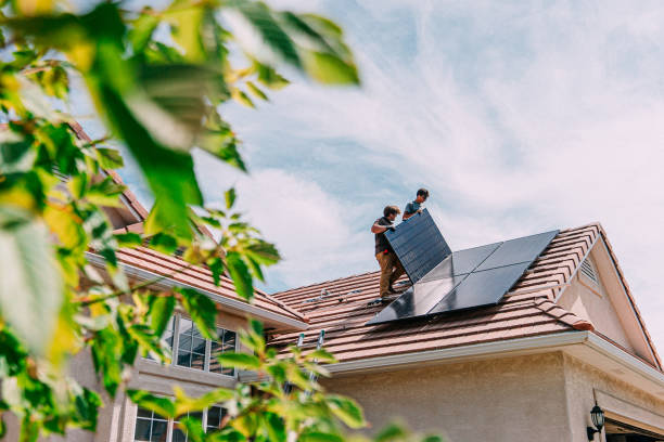 Best Roof Gutter Cleaning  in Rice, MN