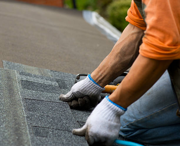 Professional Roofing Contractor in Rice, MN