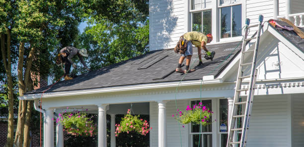 Best Flat Roof Repair Services  in Rice, MN
